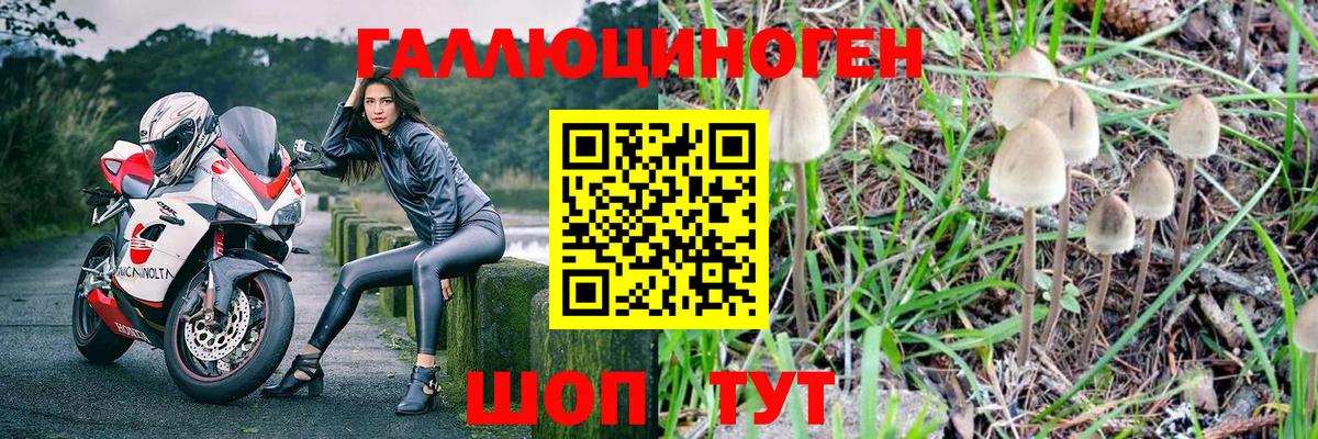 Псилоцибиновые грибы MAGIC MUSHROOMS  Вход с VPN  Фрязино 