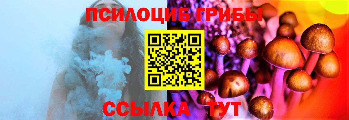Псилоцибиновые грибы Magic Shrooms Фрязино