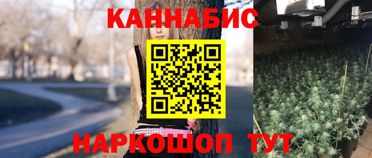 Каннабис OG Kush Фрязино